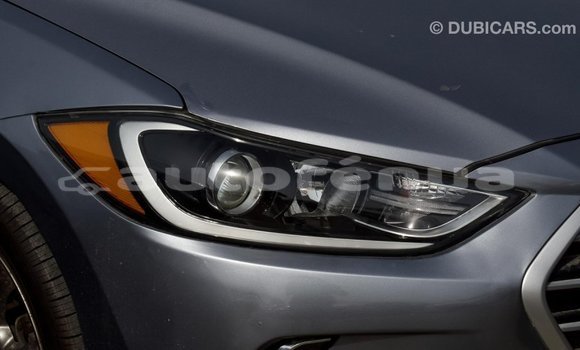 Buy Import Hyundai Elantra Other Car in Import - Dubai in Marquesas Buy Import Hyundai Elantra Other Car in Import - Dubai in Marquesas