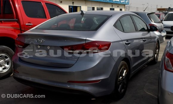 Buy Import Hyundai Elantra Other Car in Import - Dubai in Marquesas Buy Import Hyundai Elantra Other Car in Import - Dubai in Marquesas