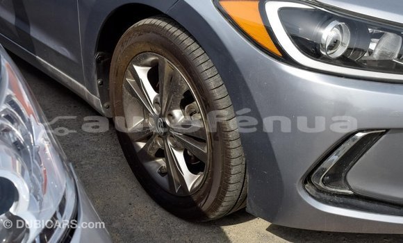 Buy Import Hyundai Elantra Other Car in Import - Dubai in Marquesas Buy Import Hyundai Elantra Other Car in Import - Dubai in Marquesas