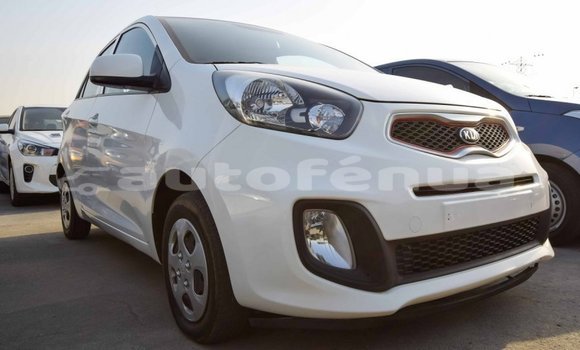 Acheter Import Voiture Kia Picanto Blanc à Import - Dubai, Marquesas Acheter Import Voiture Kia Picanto Blanc à Import - Dubai, Marquesas