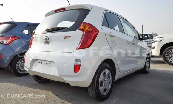 Acheter Import Voiture Kia Picanto Blanc à Import - Dubai, Marquesas Acheter Import Voiture Kia Picanto Blanc à Import - Dubai, Marquesas