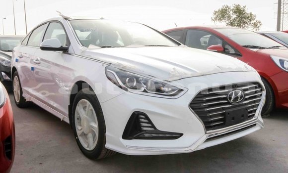 Buy Import Hyundai Sonata White Car in Import - Dubai in Marquesas Buy Import Hyundai Sonata White Car in Import - Dubai in Marquesas