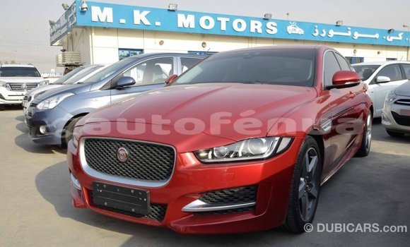 Acheter Import Voiture Jaguar XE Rouge à Import - Dubai, Marquesas Acheter Import Voiture Jaguar XE Rouge à Import - Dubai, Marquesas