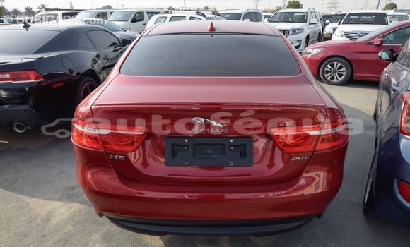 Acheter Import Voiture Jaguar XE Rouge à Import - Dubai, Marquesas Acheter Import Voiture Jaguar XE Rouge à Import - Dubai, Marquesas