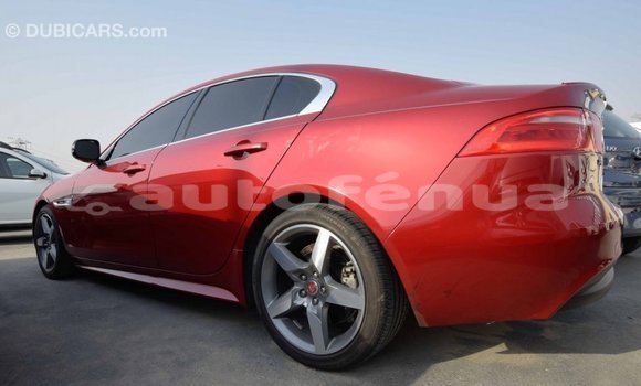 Acheter Import Voiture Jaguar XE Rouge à Import - Dubai, Marquesas Acheter Import Voiture Jaguar XE Rouge à Import - Dubai, Marquesas