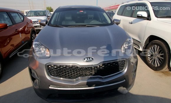 Acheter Import Voiture Kia Sportage Autre à Import - Dubai, Marquesas Acheter Import Voiture Kia Sportage Autre à Import - Dubai, Marquesas