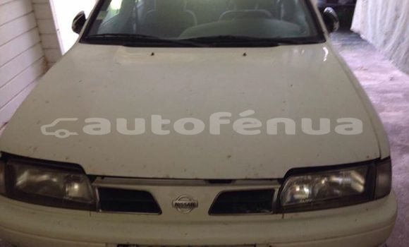 Acheter Occasion Voiture Nissan Primera Autre à Hikueru, Tuamotu Acheter Occasion Voiture Nissan Primera Autre à Hikueru, Tuamotu
