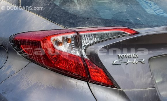 Buy Import Toyota C-HR Other Car in Import - Dubai in Marquesas Buy Import Toyota C-HR Other Car in Import - Dubai in Marquesas