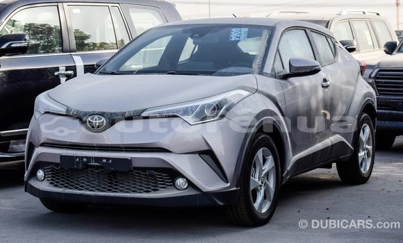 Buy Import Toyota C-HR Other Car in Import - Dubai in Marquesas Buy Import Toyota C-HR Other Car in Import - Dubai in Marquesas