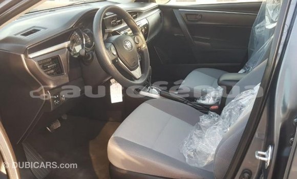 Acheter Import Voiture Toyota Corolla Autre à Import - Dubai, Marquesas Acheter Import Voiture Toyota Corolla Autre à Import - Dubai, Marquesas