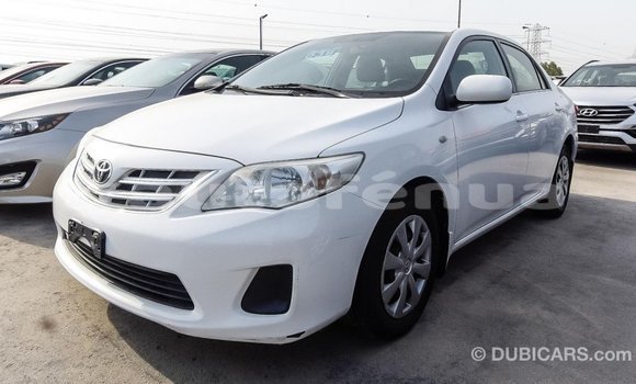 Buy Import Toyota Corolla White Car in Import - Dubai in Marquesas Buy Import Toyota Corolla White Car in Import - Dubai in Marquesas