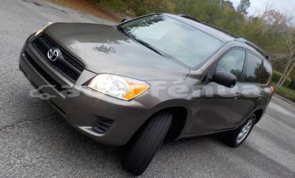 Buy Used Toyota RAV4 Other Car in Hikueru in Tuamotu