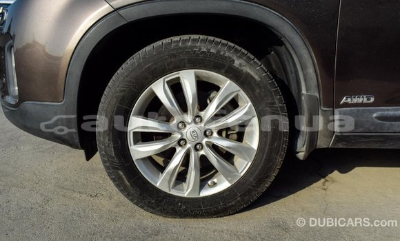 Buy Import Kia Sorento Brown Car in Import - Dubai in Marquesas Buy Import Kia Sorento Brown Car in Import - Dubai in Marquesas