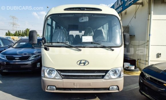 Buy Import Hyundai Chorus Beige Truck in Import - Dubai in Marquesas Buy Import Hyundai Chorus Beige Truck in Import - Dubai in Marquesas