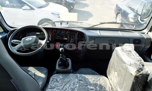Buy Import Hyundai Chorus Beige Truck in Import - Dubai in Marquesas Buy Import Hyundai Chorus Beige Truck in Import - Dubai in Marquesas