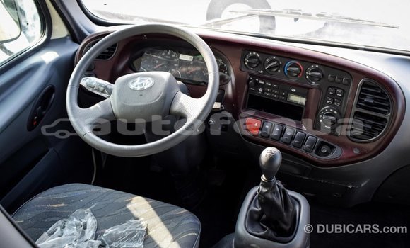 Buy Import Hyundai Chorus Beige Truck in Import - Dubai in Marquesas Buy Import Hyundai Chorus Beige Truck in Import - Dubai in Marquesas