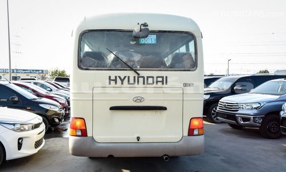 Buy Import Hyundai Chorus Beige Truck in Import - Dubai in Marquesas Buy Import Hyundai Chorus Beige Truck in Import - Dubai in Marquesas