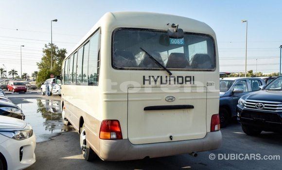 Buy Import Hyundai Chorus Beige Truck in Import - Dubai in Marquesas Buy Import Hyundai Chorus Beige Truck in Import - Dubai in Marquesas