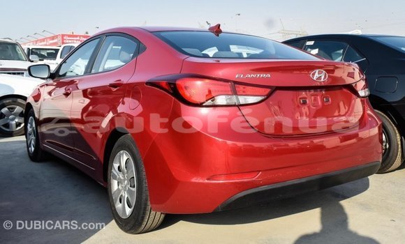 Buy Import Hyundai Elantra Red Car in Import - Dubai in Marquesas Buy Import Hyundai Elantra Red Car in Import - Dubai in Marquesas