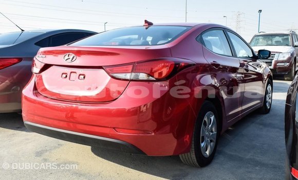 Buy Import Hyundai Elantra Red Car in Import - Dubai in Marquesas Buy Import Hyundai Elantra Red Car in Import - Dubai in Marquesas
