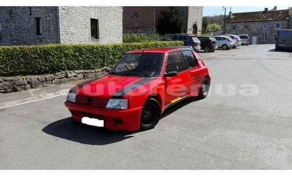 Buy Used Peugeot 205 Other Car in Nukutavake in Tuamotu