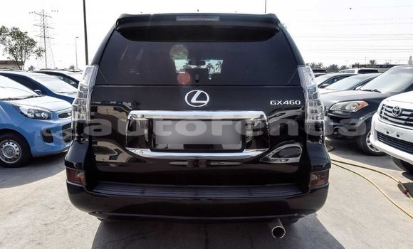 Buy Import Lexus GX Black Car in Import - Dubai in Marquesas Buy Import Lexus GX Black Car in Import - Dubai in Marquesas