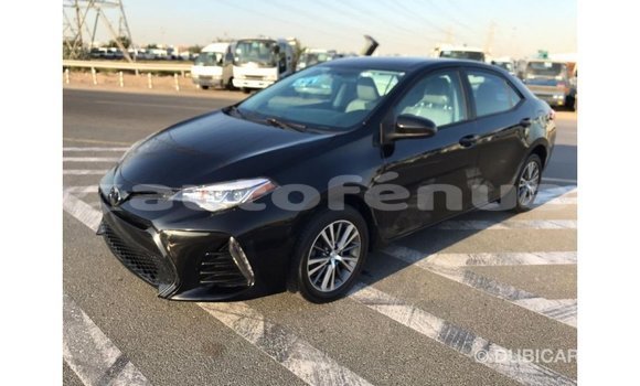 Acheter Import Voiture Toyota Corolla Noir à Import - Dubai, Marquesas Acheter Import Voiture Toyota Corolla Noir à Import - Dubai, Marquesas