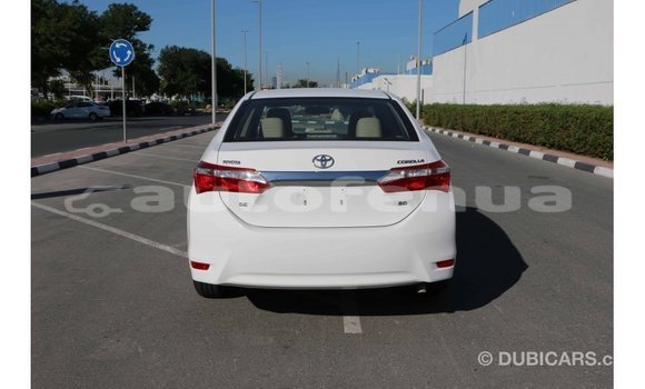 Acheter Import Voiture Toyota Corolla Blanc à Import - Dubai, Marquesas Acheter Import Voiture Toyota Corolla Blanc à Import - Dubai, Marquesas