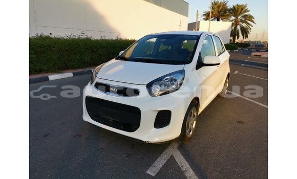 Acheter Import Voiture Kia Picanto Blanc à Import - Dubai, Marquesas Acheter Import Voiture Kia Picanto Blanc à Import - Dubai, Marquesas