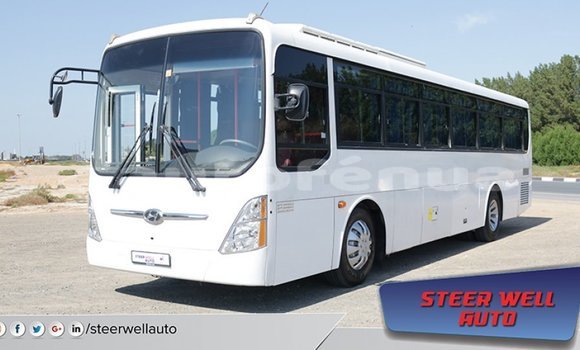 Acheter Import Utilitaire Hyundai Chorus Blanc à Import - Dubai, Marquesas