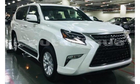 Acheter Import Voiture Lexus GX Blanc à Import - Dubai, Marquesas Acheter Import Voiture Lexus GX Blanc à Import - Dubai, Marquesas
