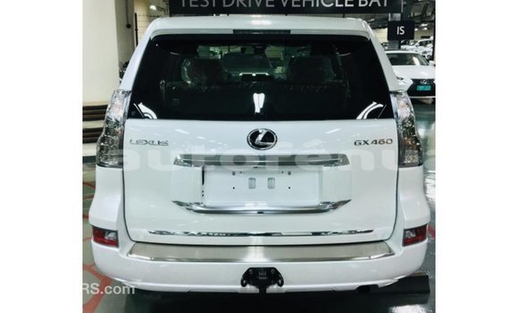 Acheter Import Voiture Lexus GX Blanc à Import - Dubai, Marquesas Acheter Import Voiture Lexus GX Blanc à Import - Dubai, Marquesas