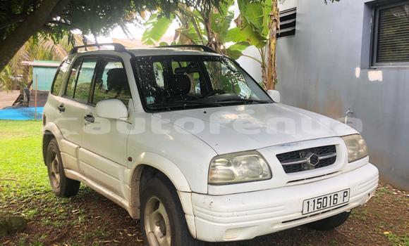 Acheter Occasion Voiture Suzuki Grand Vitara Blanc à Avera, Tubuai