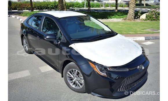 Buy Import Toyota Corolla Black Car in Import - Dubai in Marquesas Buy Import Toyota Corolla Black Car in Import - Dubai in Marquesas