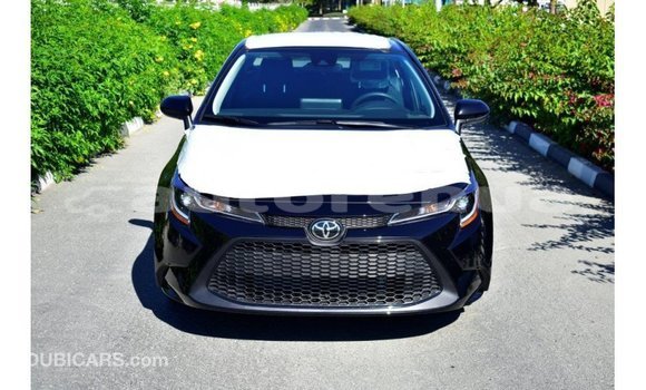 Buy Import Toyota Corolla Black Car in Import - Dubai in Marquesas Buy Import Toyota Corolla Black Car in Import - Dubai in Marquesas