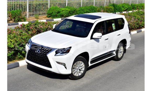 Buy Import Lexus GX White Car in Import - Dubai in Marquesas Buy Import Lexus GX White Car in Import - Dubai in Marquesas