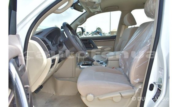 Buy Import Toyota Land Cruiser White Car in Import - Dubai in Marquesas Buy Import Toyota Land Cruiser White Car in Import - Dubai in Marquesas