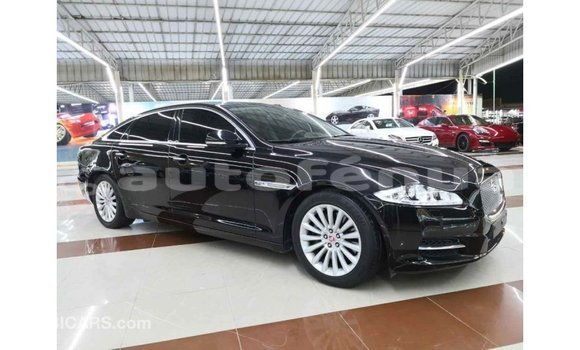 Buy Import Jaguar XJ Black Car in Import - Dubai in Marquesas Buy Import Jaguar XJ Black Car in Import - Dubai in Marquesas