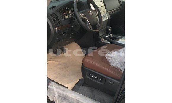 Buy Import Toyota Land Cruiser Black Car in Import - Dubai in Marquesas Buy Import Toyota Land Cruiser Black Car in Import - Dubai in Marquesas