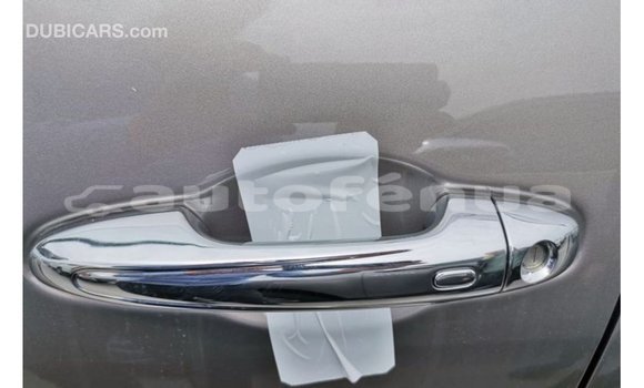 Buy Import Toyota Hilux Brown Car in Import - Dubai in Marquesas Buy Import Toyota Hilux Brown Car in Import - Dubai in Marquesas