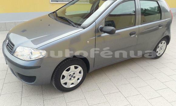 Acheter Occasion Voiture Fiat Punto Gris à Arue , Tahiti