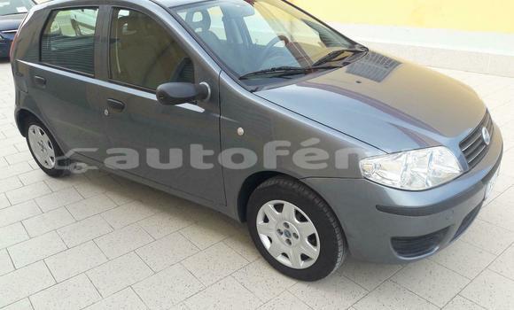 Acheter Occasion Voiture Fiat Punto Gris à Tatakoto, Tuamotu
