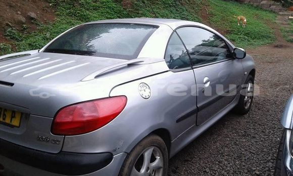 Buy Used Peugeot 206 Other Car in Niau in Tuamotu Buy Used Peugeot 206 Other Car in Niau in Tuamotu