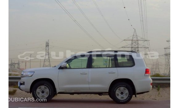 Buy Import Toyota Land Cruiser White Car in Import - Dubai in Marquesas Buy Import Toyota Land Cruiser White Car in Import - Dubai in Marquesas