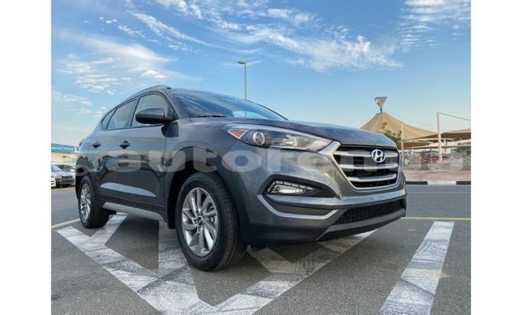 Acheter Import Voiture Hyundai Tucson Blanc à Import - Dubai, Marquesas Acheter Import Voiture Hyundai Tucson Blanc à Import - Dubai, Marquesas