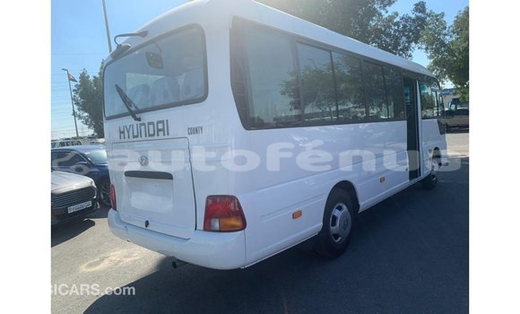 Buy Import Hyundai Chorus White Truck in Import - Dubai in Marquesas Buy Import Hyundai Chorus White Truck in Import - Dubai in Marquesas