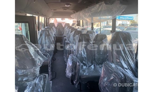 Buy Import Hyundai Chorus White Truck in Import - Dubai in Marquesas Buy Import Hyundai Chorus White Truck in Import - Dubai in Marquesas