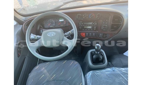 Buy Import Hyundai Chorus White Truck in Import - Dubai in Marquesas Buy Import Hyundai Chorus White Truck in Import - Dubai in Marquesas
