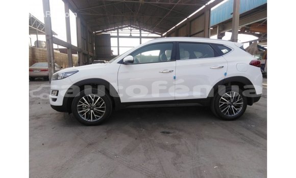 Buy Import Hyundai Tucson White Car in Import - Dubai in Marquesas Buy Import Hyundai Tucson White Car in Import - Dubai in Marquesas