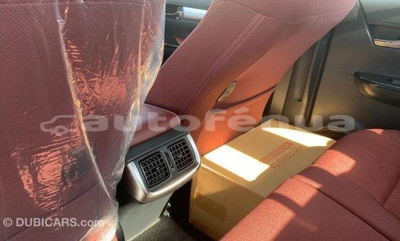 Buy Import Toyota Hilux Other Car in Import - Dubai in Marquesas Buy Import Toyota Hilux Other Car in Import - Dubai in Marquesas